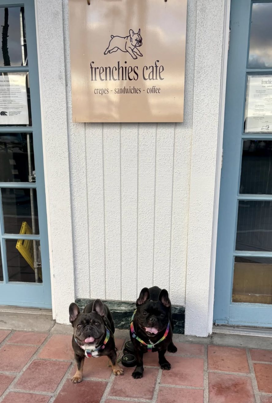 Photo 1 from Frenchies Cafe's Instagram feed
